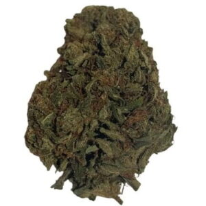 ORANGE F 43 CBD buds